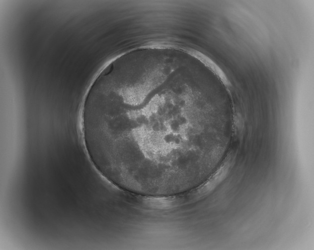 X0000101460855200807280958