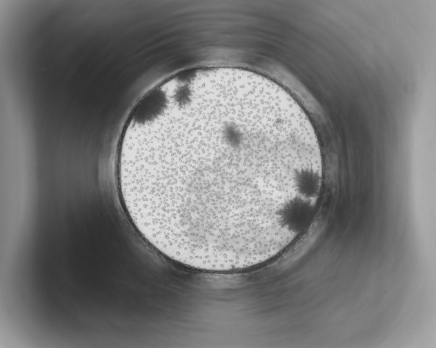 X0000101460856200807280958