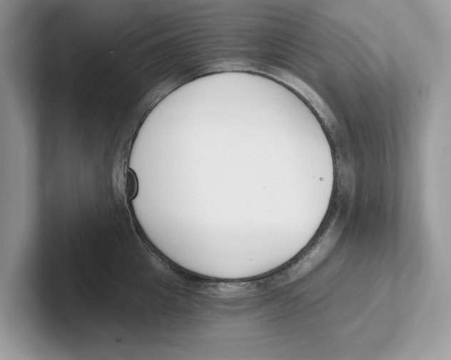 X0000101460857200807280958