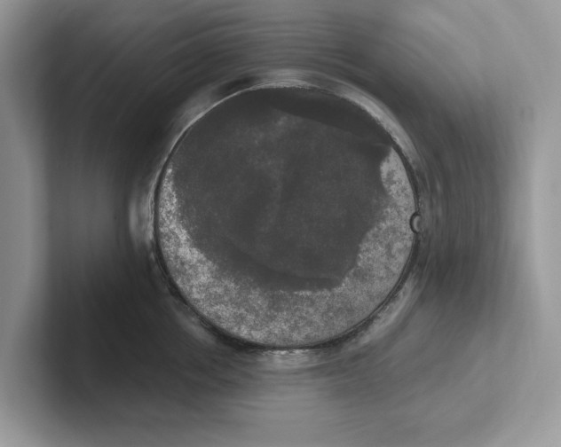 X0000101460858200807280958