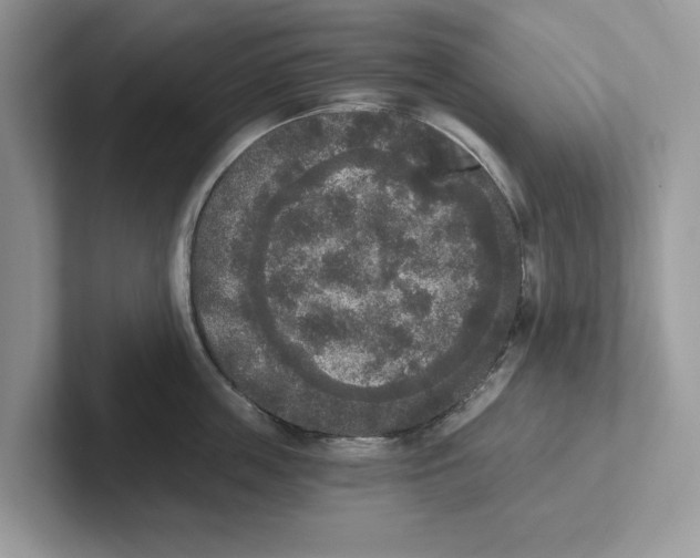 X0000101460859200807280958