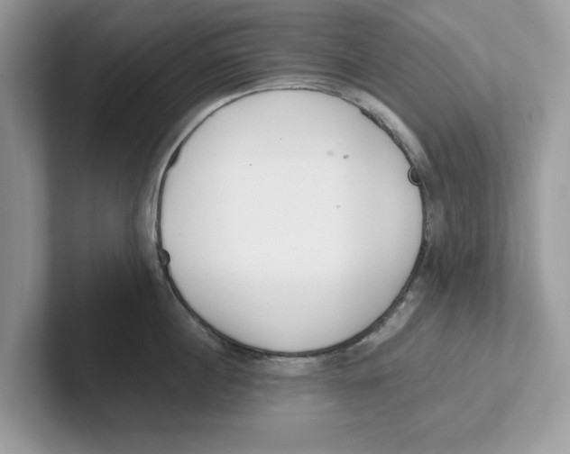 X0000101460860200807280958