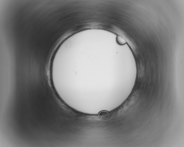 X0000101460861200807280958