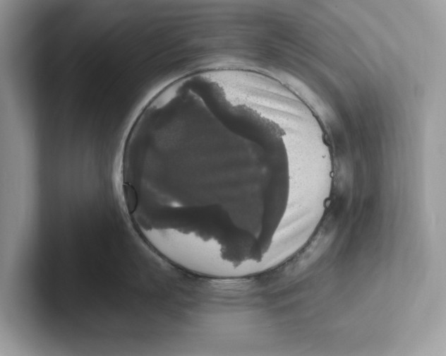 X0000101460863200807280958