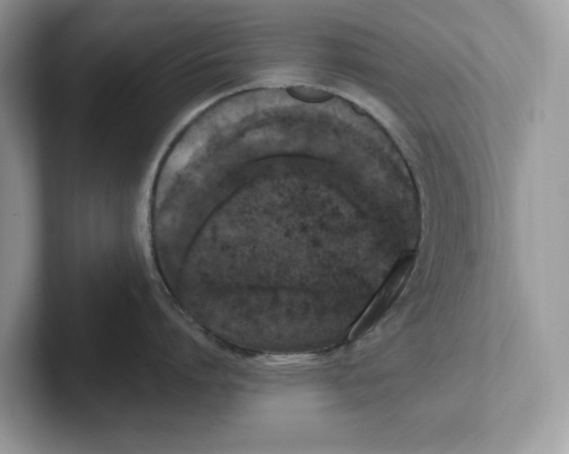 X0000101460864200807280958