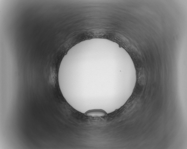 X0000101460866200807280957