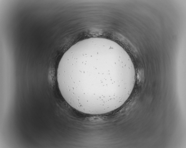 X0000101460867200807280957