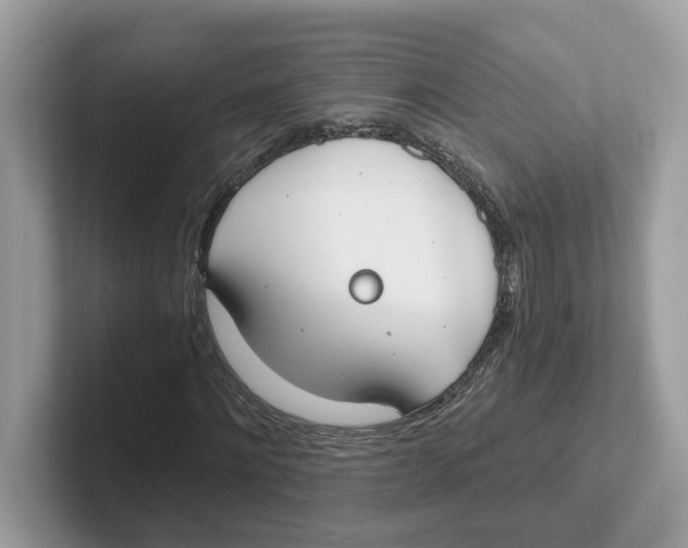 X0000101460868200807280957