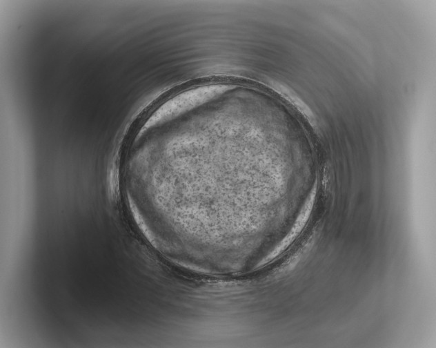 X0000101460877200807280957