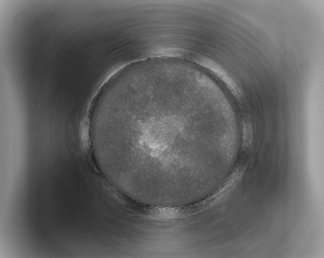 X0000101460878200807280957