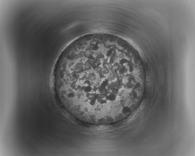 X0000101460879200807280957