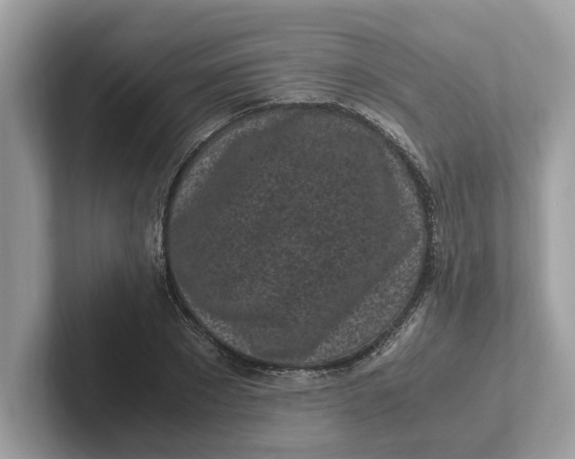 X0000101460881200807280957