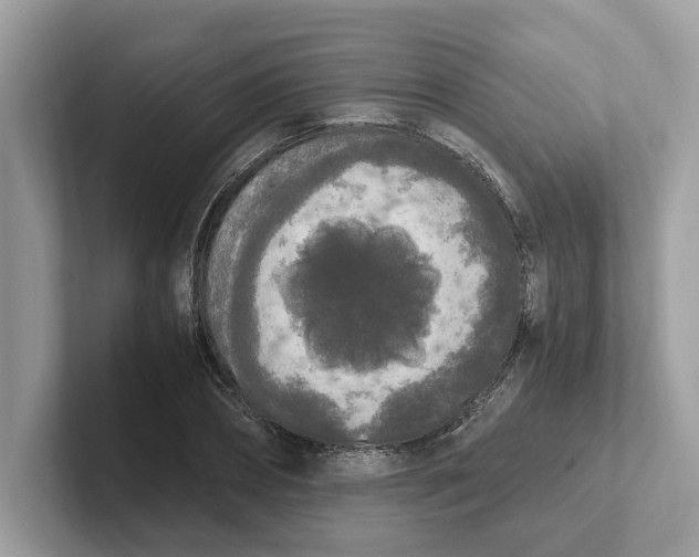 X0000101460882200807280957