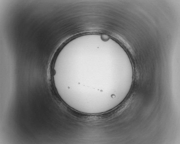 X0000101460883200807280957