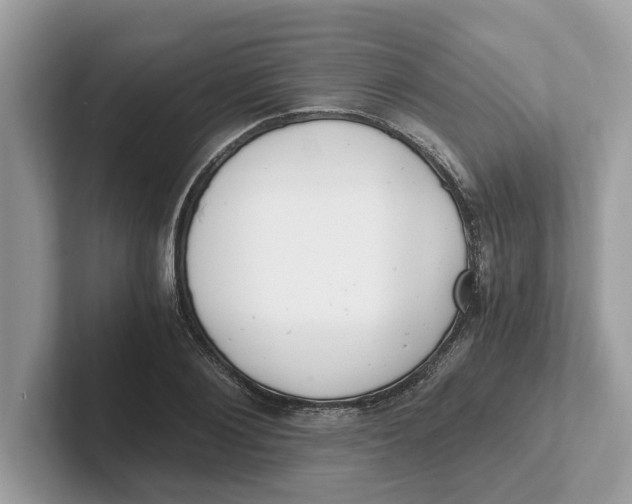 X0000101460884200807280957