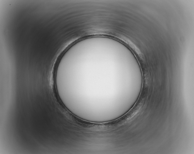 X0000101460885200807280957