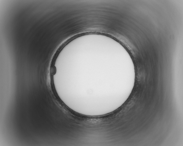 X0000101460888200807280957