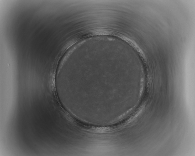 X0000101460889200807280957