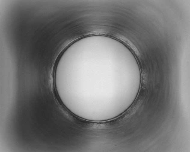 X0000101460890200807280957