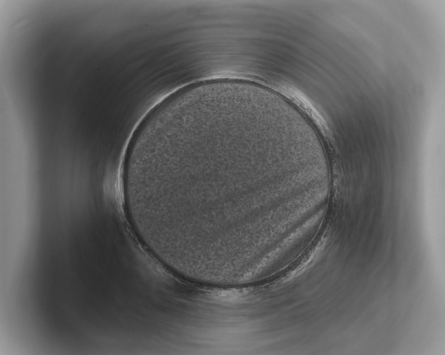 X0000101460892200807280957