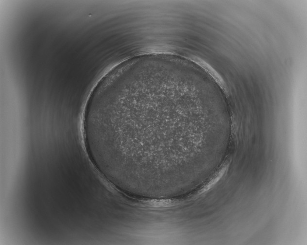 X0000101460893200807280957