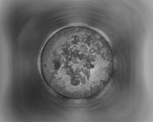 X0000101460895200807280957