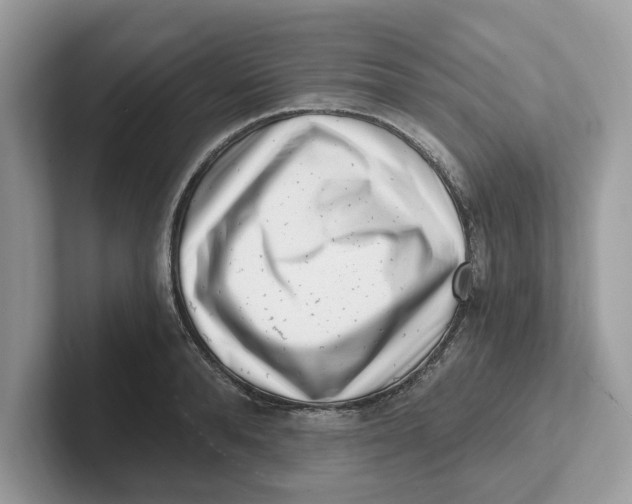 X0000101460896200807280957