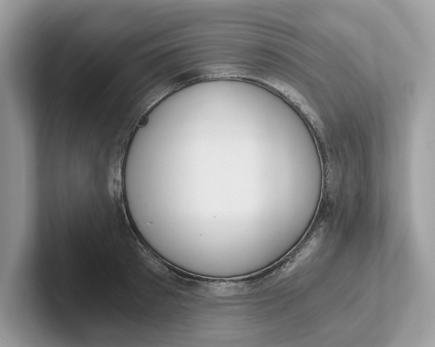 X0000101460897200807280957