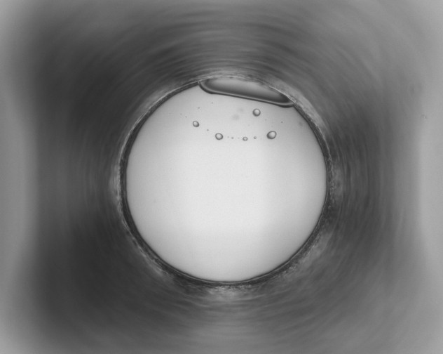 X0000101460898200807280957