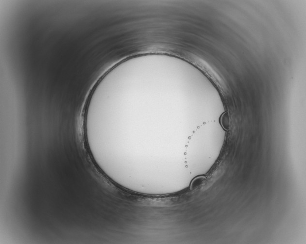 X0000101460900200807280957