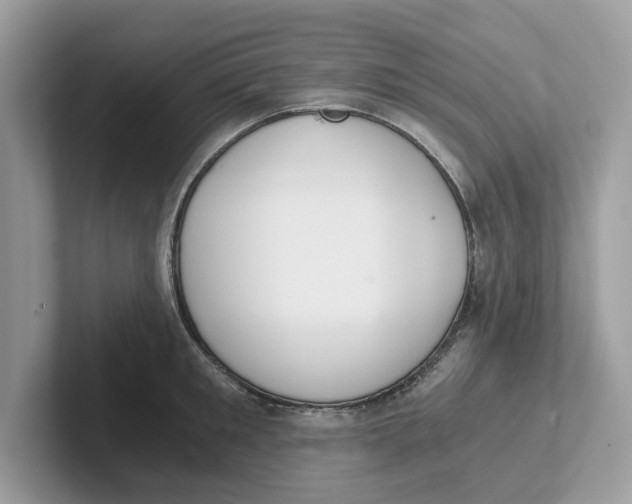 X0000101460901200807280957