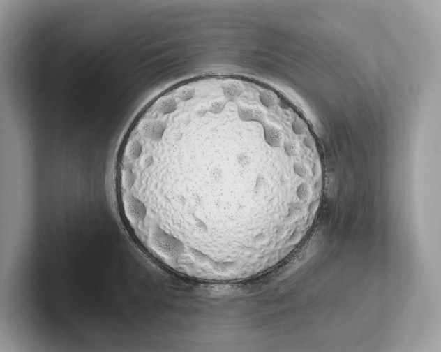 X0000101460903200807280957