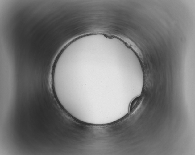 X0000101460904200807280957