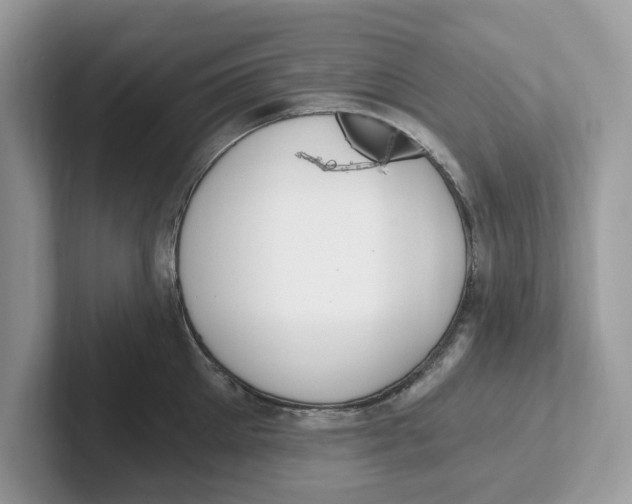 X0000101460905200807280957