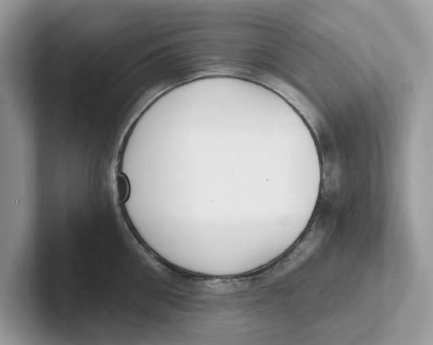 X0000101460906200807280957