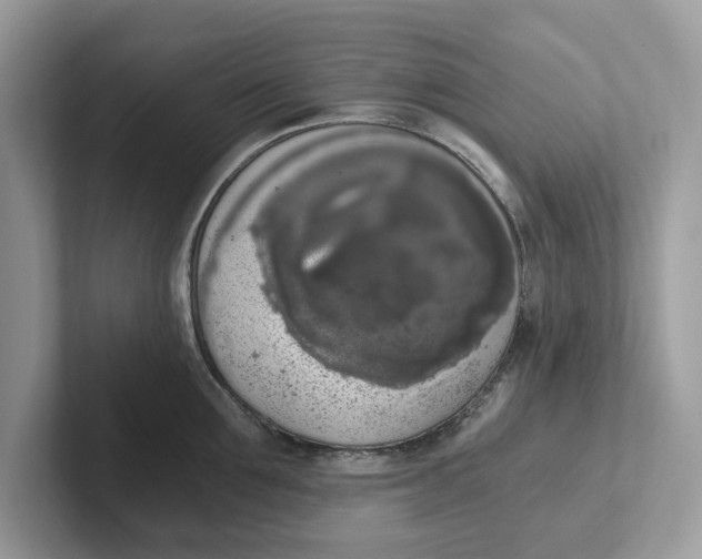 X0000101460907200807280957