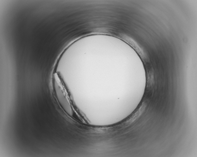 X0000101460908200807280957