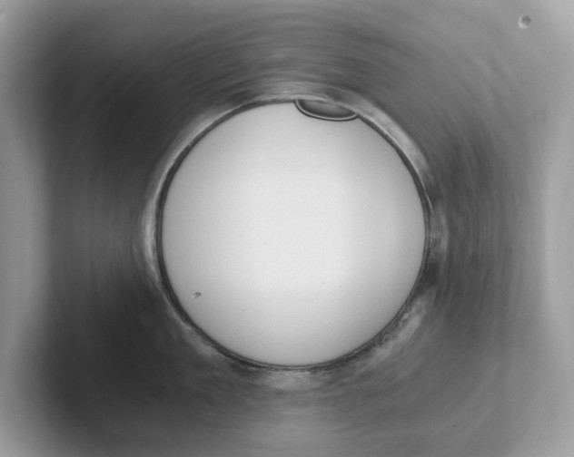 X0000101460909200807280957