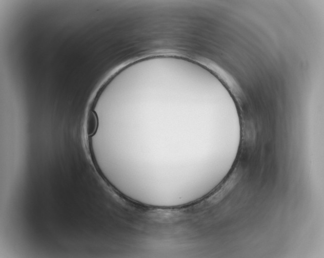 X0000101460910200807280957