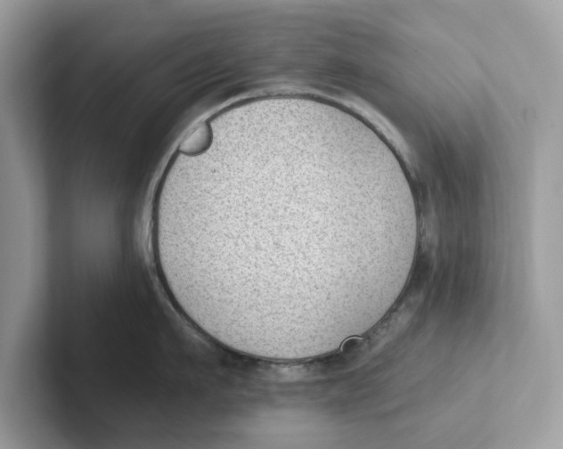 X0000101460911200807280957