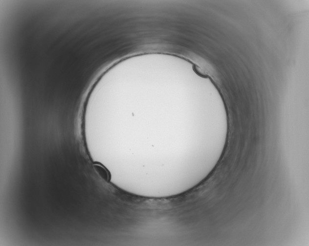 X0000101460912200807280957