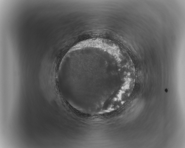 X0000101460913200807280956