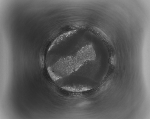 X0000101460915200807280956