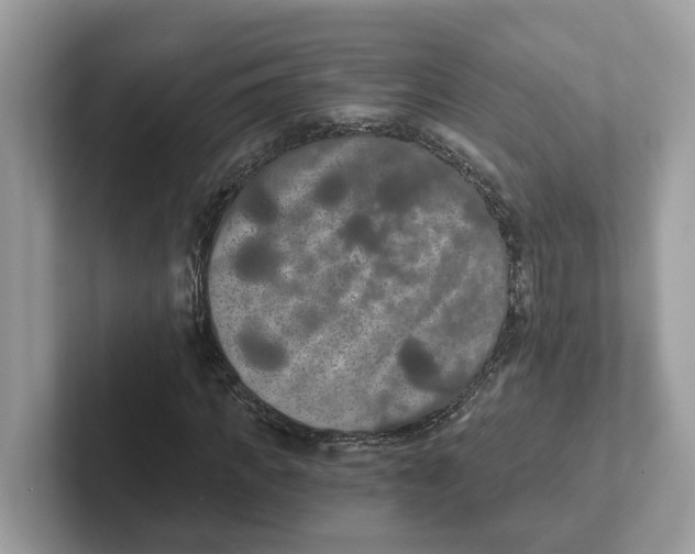 X0000101460917200807280956