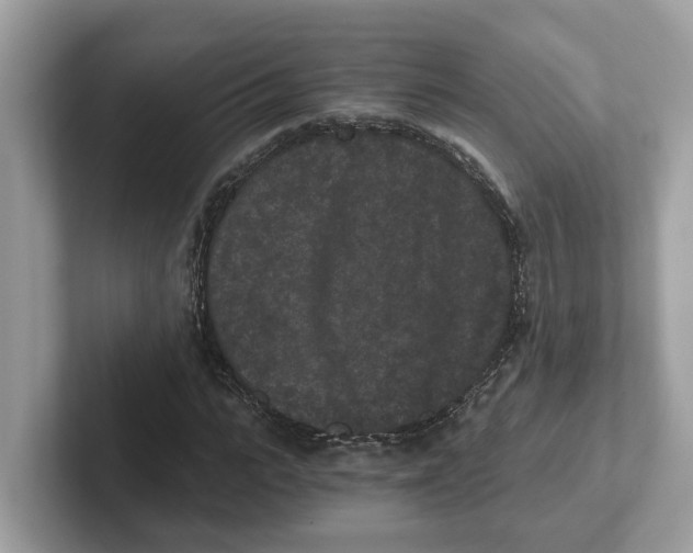 X0000101460919200807280956