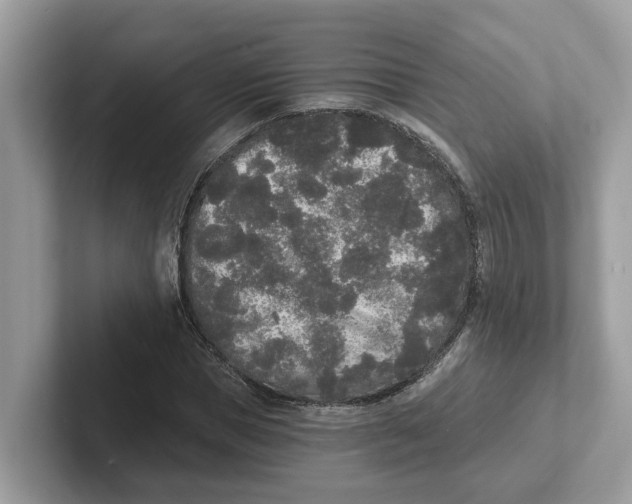 X0000101460921200807280956