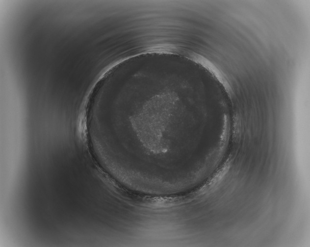 X0000101460923200807280956