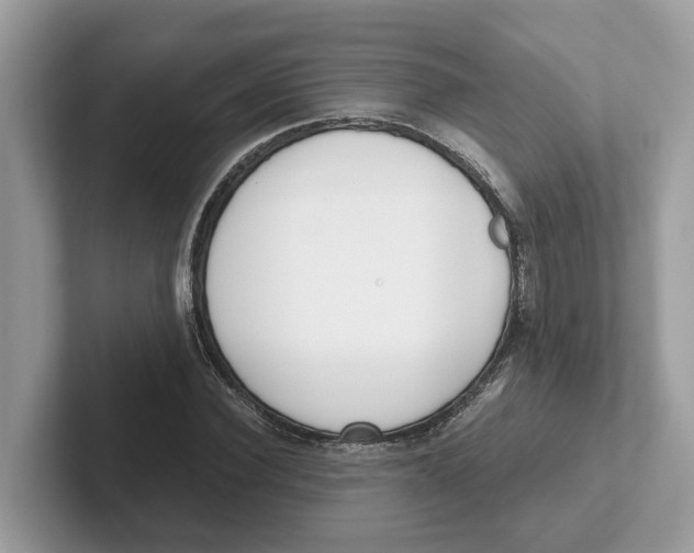 X0000101460924200807280956