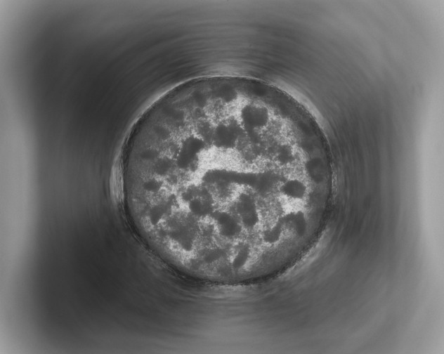 X0000101460925200807280956