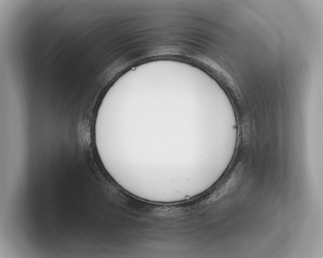 X0000101460929200807280956